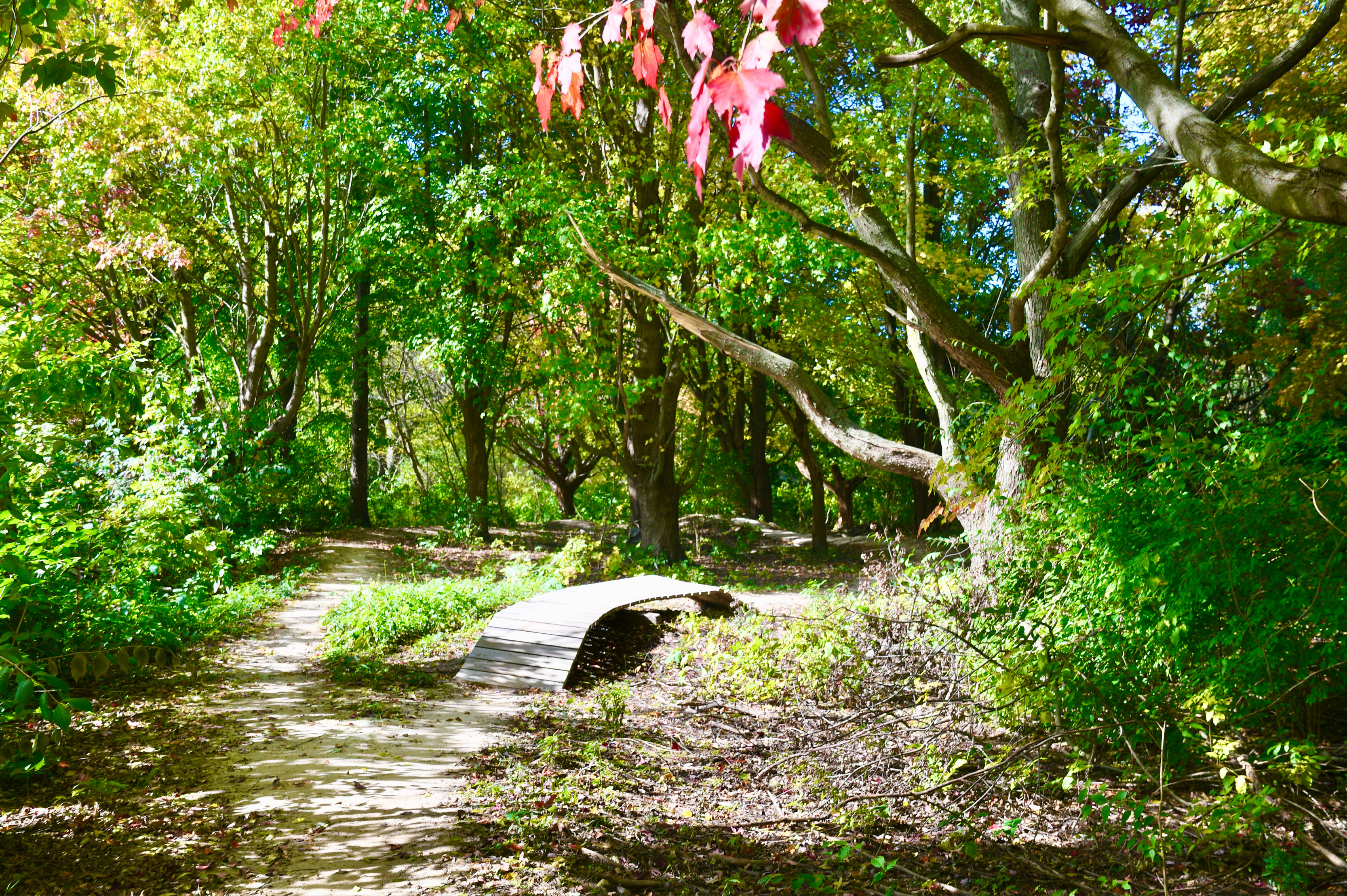Lakeview Trail